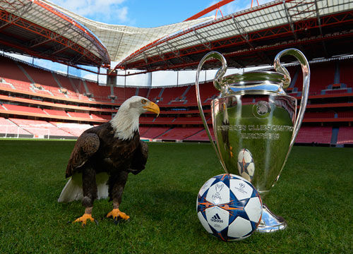 的亚特兰大 的亚特兰大