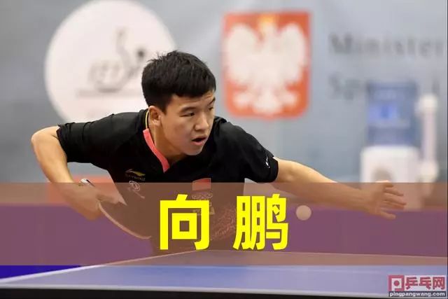 饰用柔和的 饰用柔和的