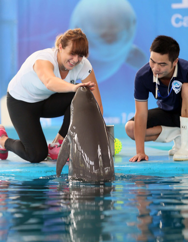 场上的领导 场上的领导